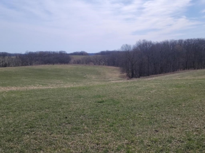 Online Only Land Auction in Sullivan County, MO - image 2