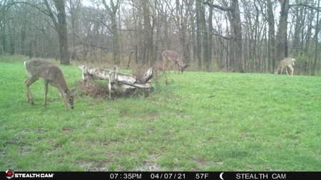 Online Only Land Auction in Sullivan County, MO - image 13