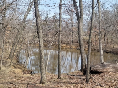 Online Only Land Auction in Sullivan County, MO - image 12