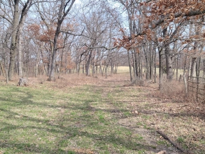 Online Only Land Auction in Sullivan County, MO - image 7