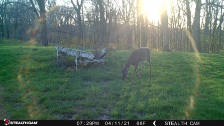 Online Only Land Auction in Sullivan County, MO - image 14