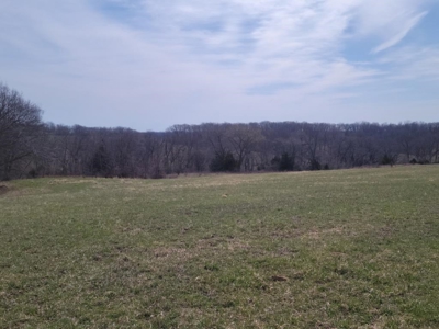 Online Only Land Auction in Sullivan County, MO - image 6