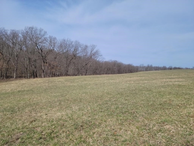 Online Only Land Auction in Sullivan County, MO - image 5