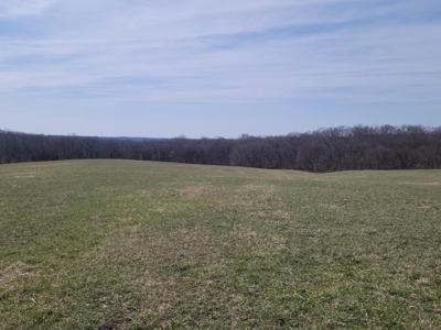 Online Only Land Auction in Sullivan County, MO - image 4