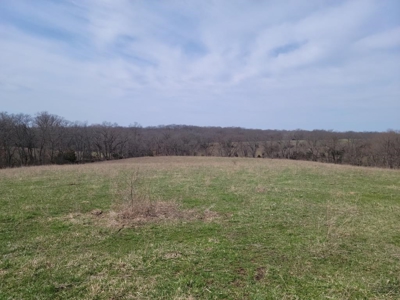 Online Only Land Auction in Sullivan County, MO - image 8