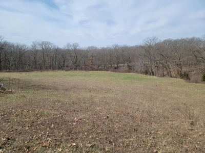Online Only Land Auction in Sullivan County, MO - image 9