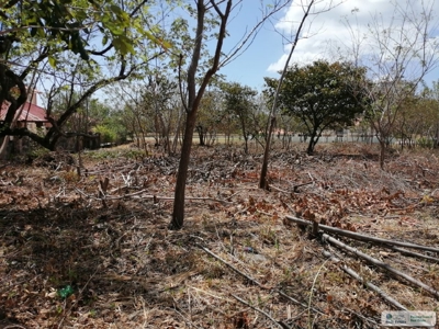 Sale Of Lot A In Ave Bulevar Coronado Panama - image 1