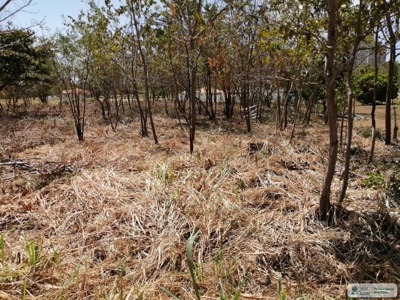 Sale Of Lot A In Ave Bulevar Coronado Panama - image 11