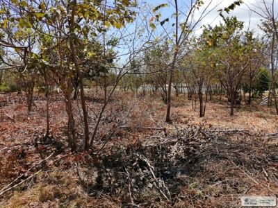 Sale Of Lot A In Ave Bulevar Coronado Panama - image 9