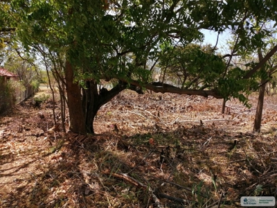 Sale Of Lot A In Ave Bulevar Coronado Panama - image 6