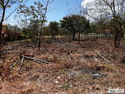Sale Of Lot A In Ave Bulevar Coronado Panama - image 17