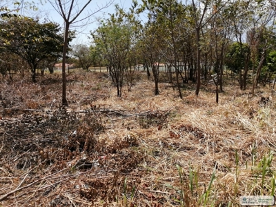 Sale Of Lot A In Ave Bulevar Coronado Panama - image 15