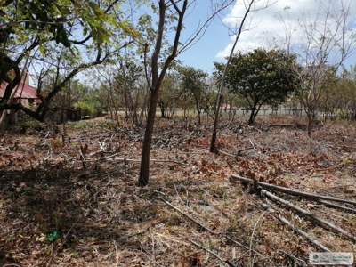 Sale Of Lot A In Ave Bulevar Coronado Panama - image 7