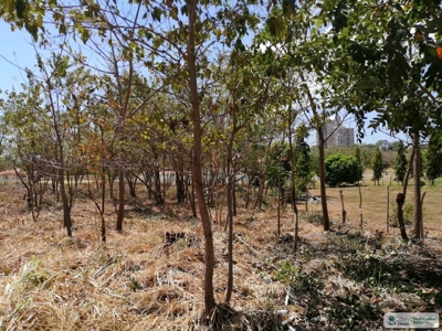 Sale Of Lot A In Ave Bulevar Coronado Panama - image 14