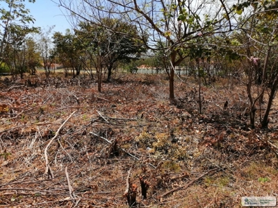 Sale Of Lot A In Ave Bulevar Coronado Panama - image 12