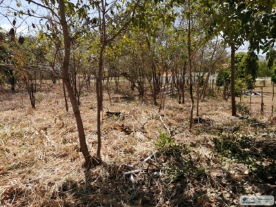 Sale Of Lot A In Ave Bulevar Coronado Panama - image 10