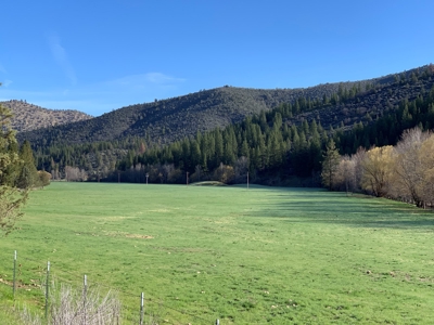 Land for Sale in Northern California - image 1