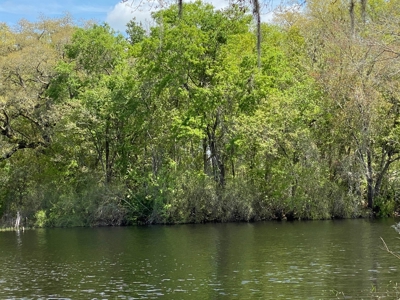 Beautiful Pickett Lake Lot In Mayo, Fl For $55,000. - image 1