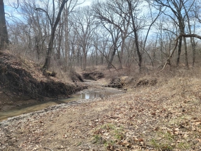 Online Land Auction in Sullivan County, MO - image 1