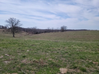 Online Land Auction in Sullivan County, MO - image 4