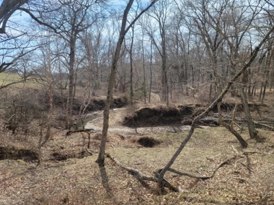 Online Land Auction in Sullivan County, MO - image 2