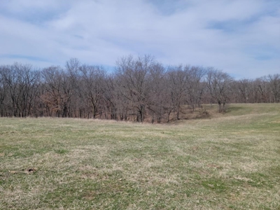 Online Land Auction in Sullivan County, MO - image 10