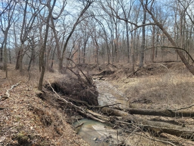 Online Land Auction in Sullivan County, MO - image 3