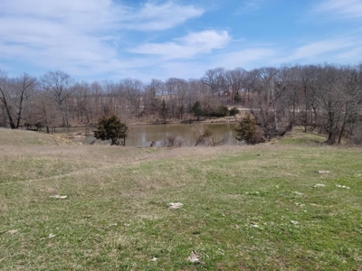 Online Land Auction in Sullivan County, MO - image 11
