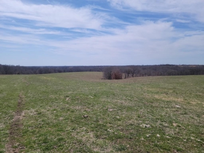 Online Land Auction in Sullivan County, MO - image 8