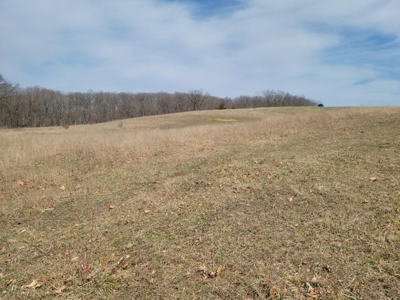 Online Land Auction in Sullivan County, MO - image 9