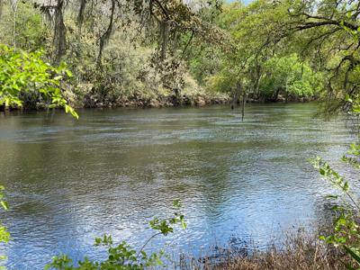 7.80 Acre Riverfront Property On Suwannee River!!!! - image 1