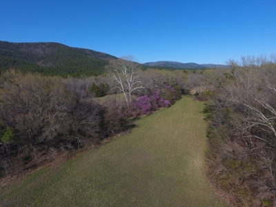 Kiamichi River Recreational Property Adj. National Forest - image 30