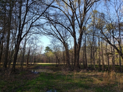 Kiamichi River Recreational Property Adj. National Forest - image 29