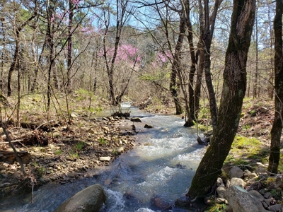 Kiamichi River Recreational Property Adj. National Forest - image 9
