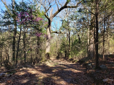 Kiamichi River Recreational Property Adj. National Forest - image 18