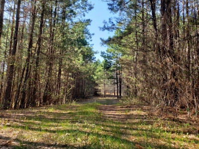 Kiamichi River Recreational Property Adj. National Forest - image 19