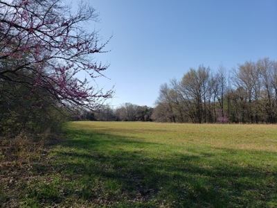Kiamichi River Recreational Property Adj. National Forest - image 33