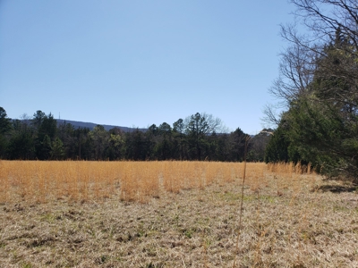 Kiamichi River Recreational Property Adj. National Forest - image 27