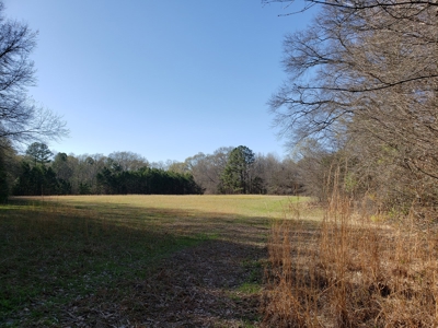 Kiamichi River Recreational Property Adj. National Forest - image 20