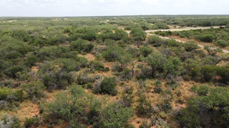 North Laredo Development Property - image 13