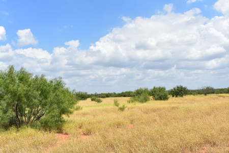 North Laredo Development Property - image 26