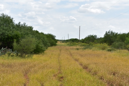 North Laredo Development Property - image 14