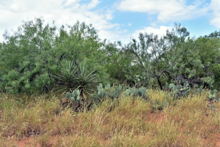 North Laredo Development Property - image 18