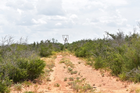 North Laredo Development Property - image 24