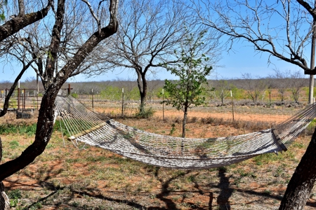 North Laredo Development Property - image 5