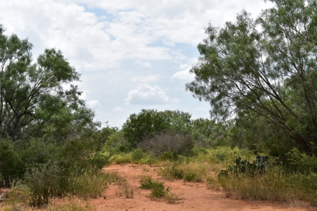 North Laredo Development Property - image 22
