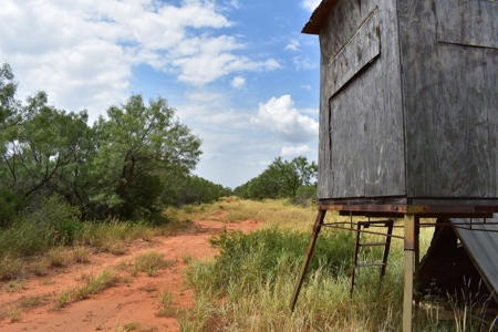 North Laredo Development Property - image 21