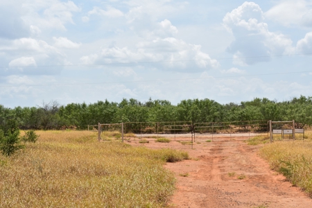 North Laredo Development Property - image 25