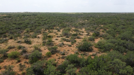 North Laredo Development Property - image 10