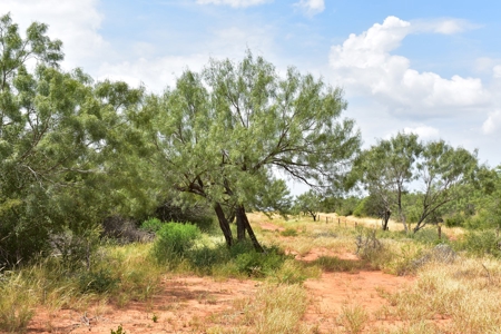 North Laredo Development Property - image 23